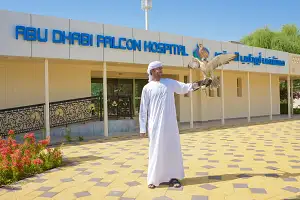 Abu Dhabi Falcon Hospital Tour - with transfer