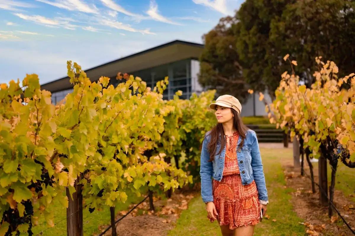 barossa tours from adelaide