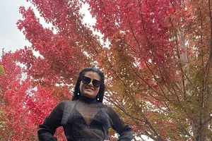 Full Day Adelaide Hills Highlights Tour