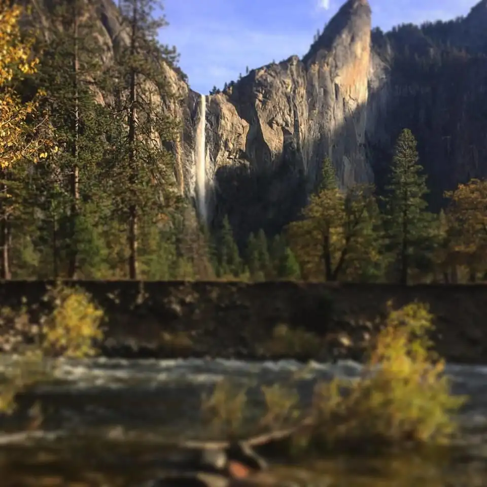 yosemite valley tours
