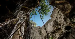 Capricorn Caves Adventure Tours