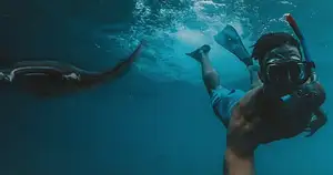 Nguthungulli Julian Rocks snorkelling tour Byron Bay