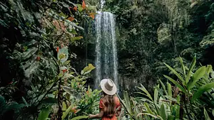 Cairns Waterfall Wanderers Tour at Millaa Millaa Falls in Atherton Tablelands