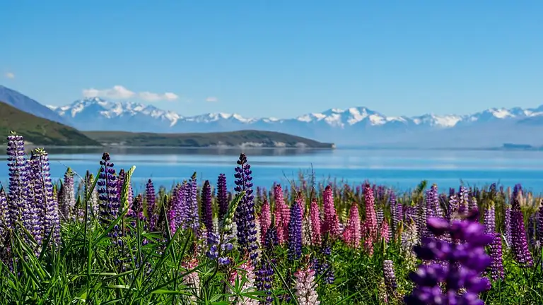 Aoraki/Mt Cook National Park Alpine Scenery