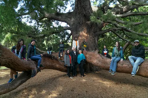 Kai Safari Christchurch Food and Culture Tour