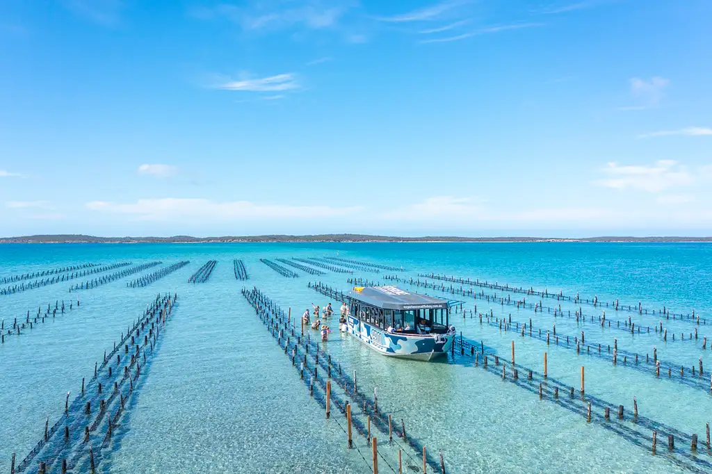 Coffin Bay Oyster Farm & Coastal Bay Tour with Wading