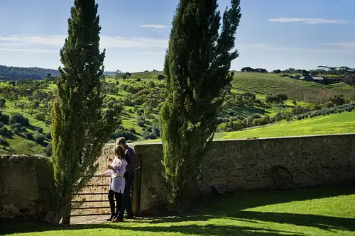 Uncork McLaren Vale Small Group Wine Tour