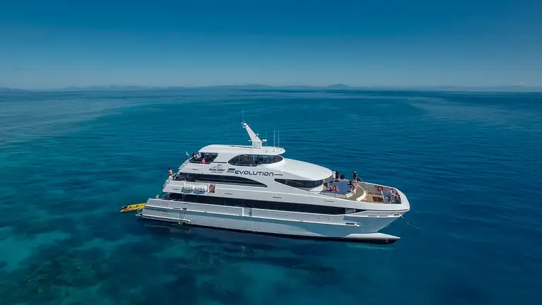 Great Barrier Reef snorkelling tour Cairns