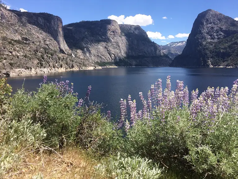 yosemite valley eco tours