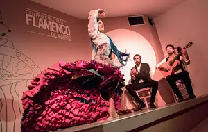 Traditional Flamenco Show In Madrid