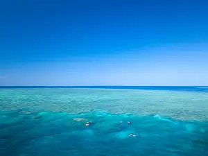 SeaQuest Day Trip | Snorkel & Dive Options