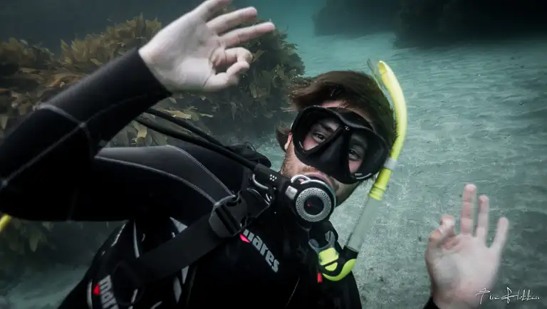 goat island reserve dive