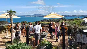 High End Sommeliers Wine Tour | From Waiheke Island