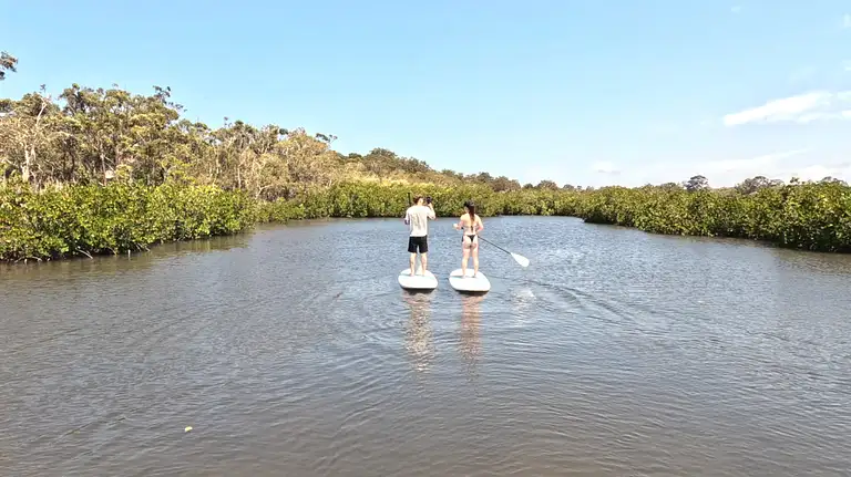 Self-Guided SUP Adventure in Noosa Heads
