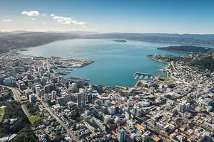 scenic helicopter flight wellington harbour